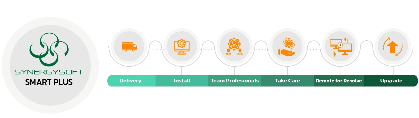 Synergysoft Smart Plus