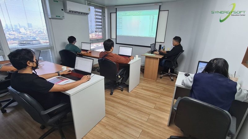 Synergysoft Education Autodesk Revit Structural Modeling for Large Building