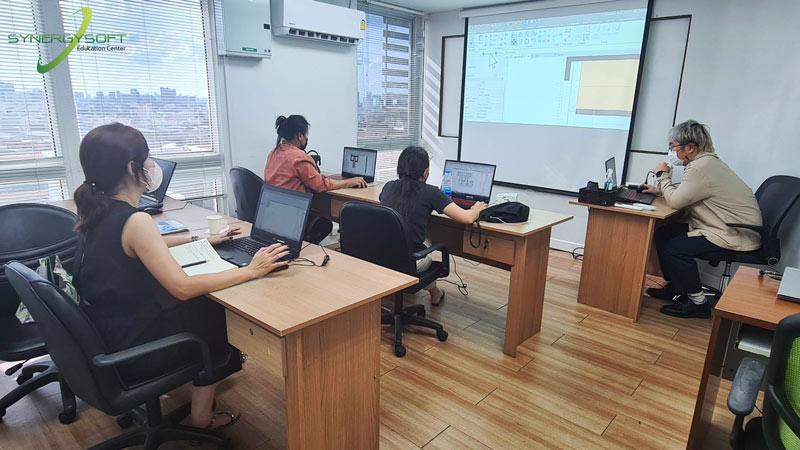 Synergysoft Education Revit Architectural Modeling