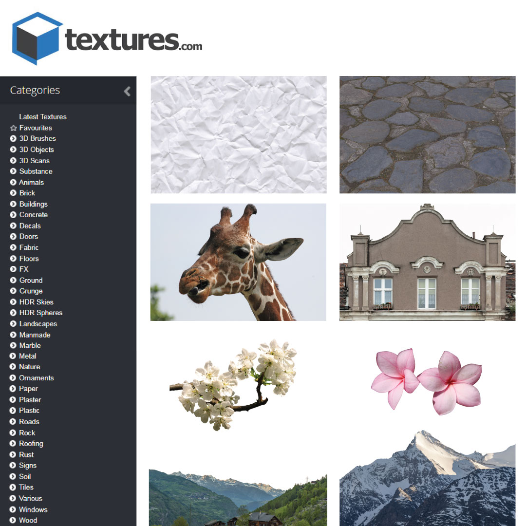 10 Cutout and Texture-6